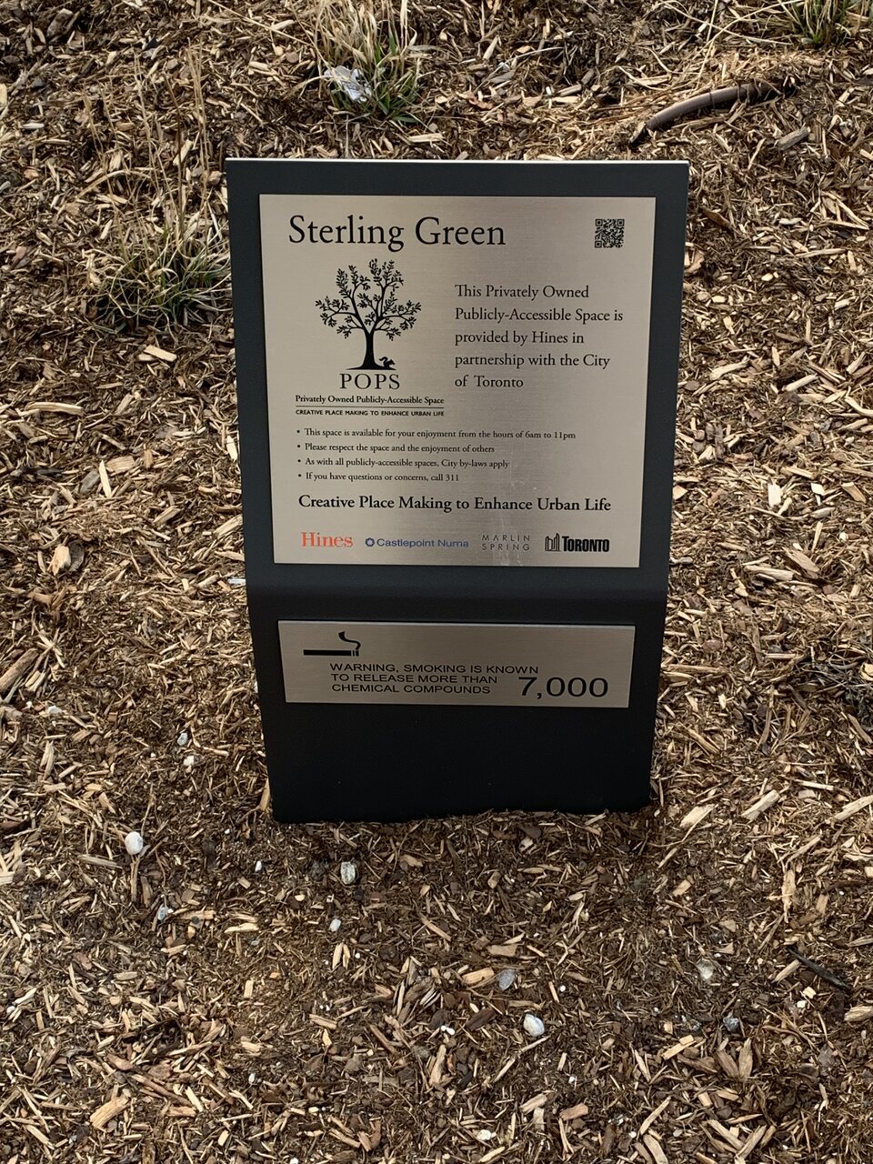 IMG_6716.jpeg