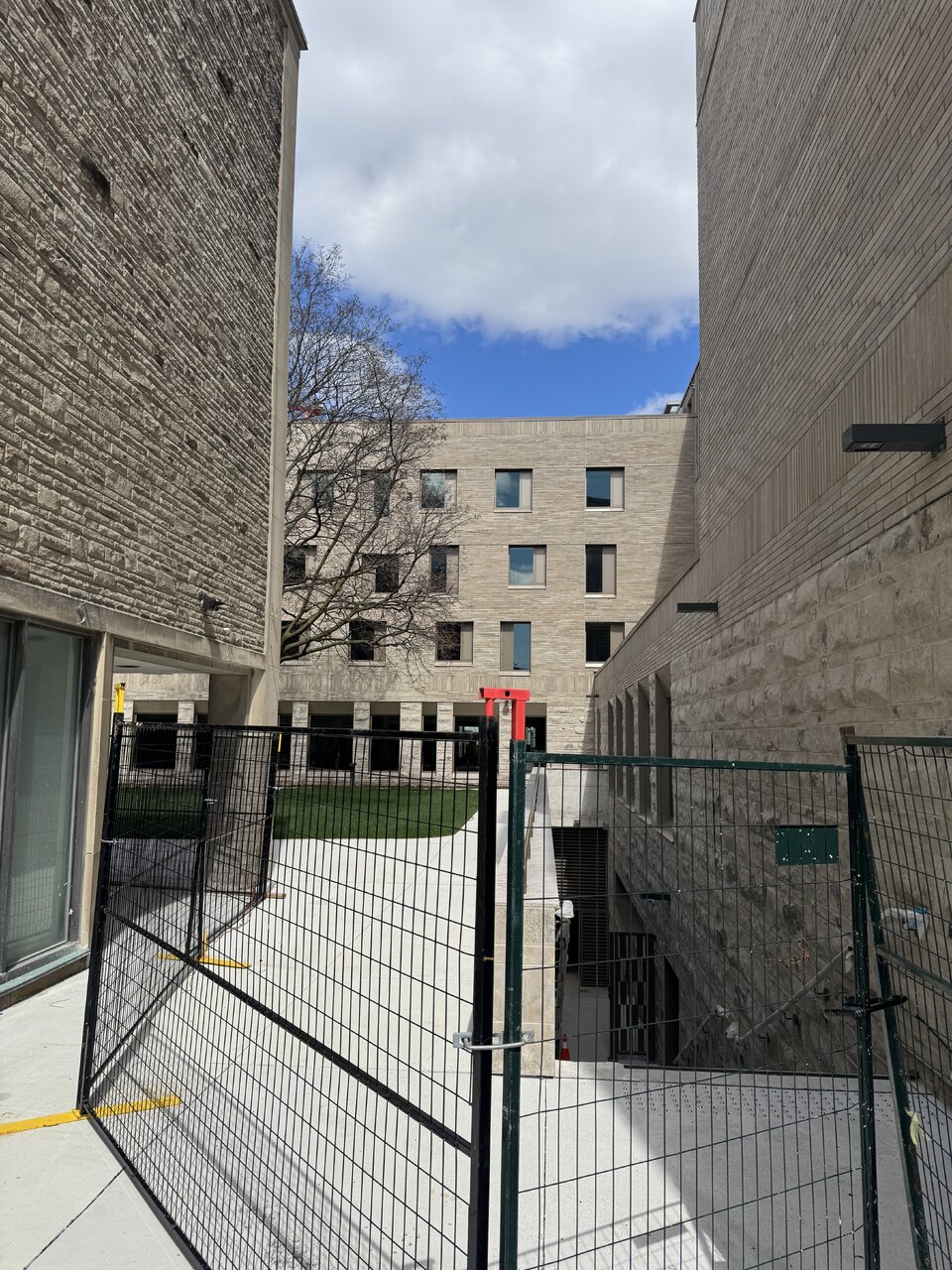 IMG_6804.jpeg