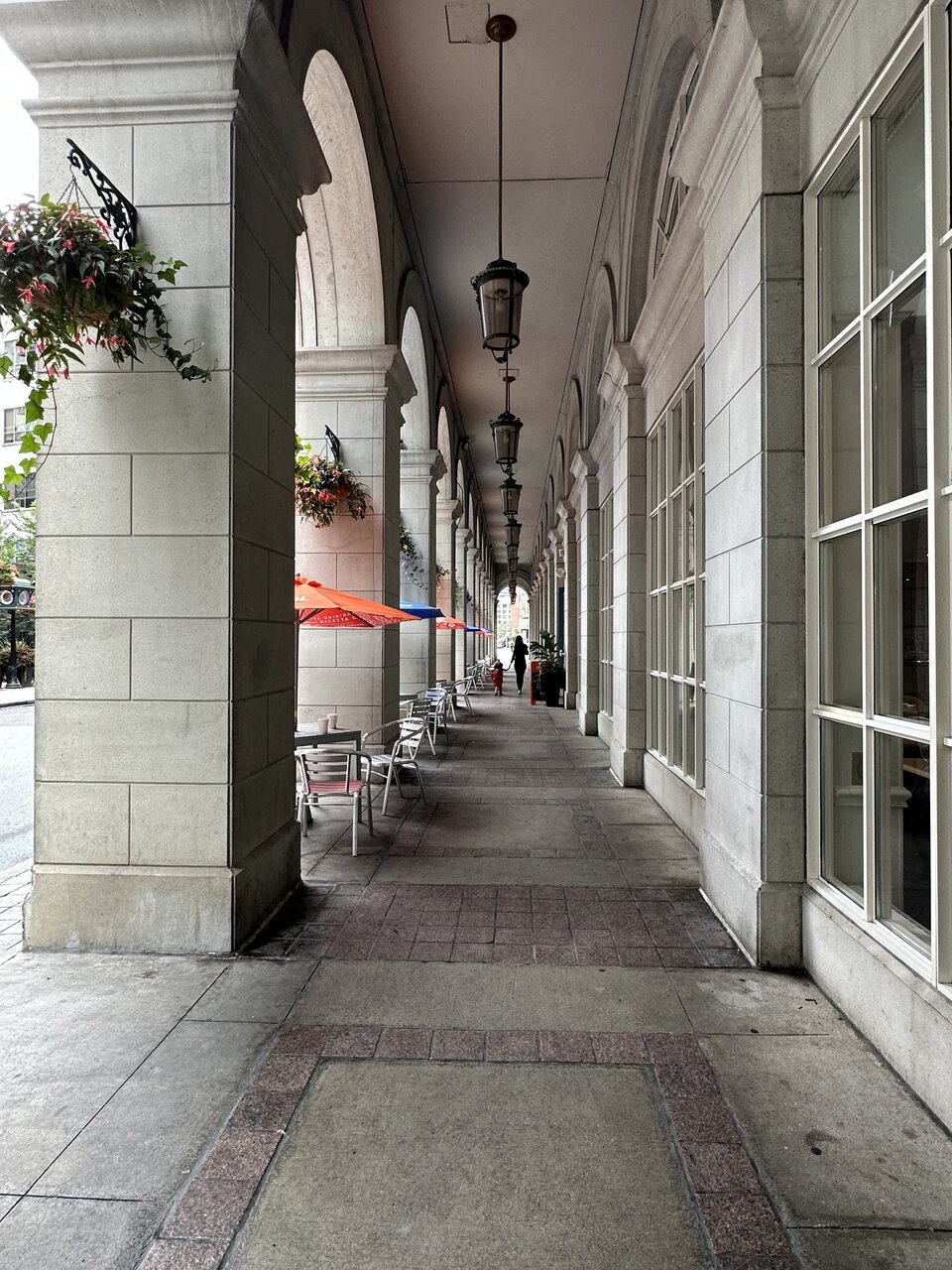 IMG_6906.jpeg