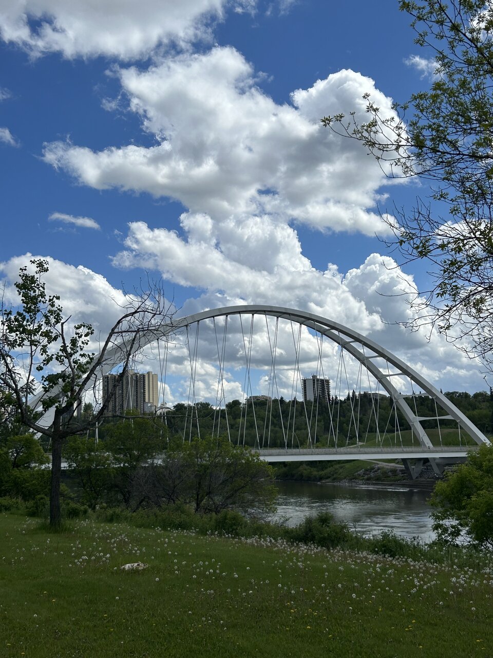 IMG_7162.jpeg
