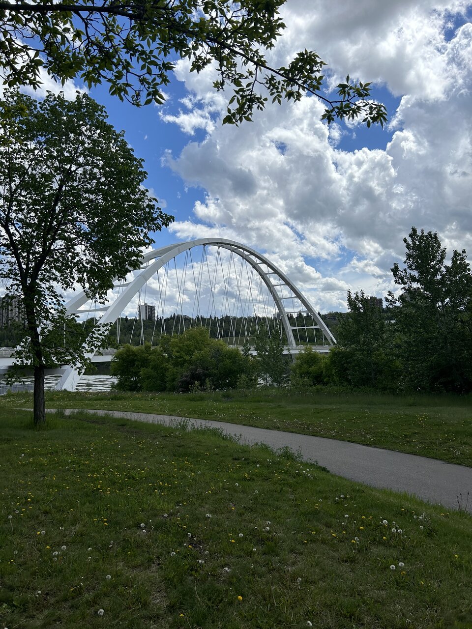 IMG_7163.jpeg