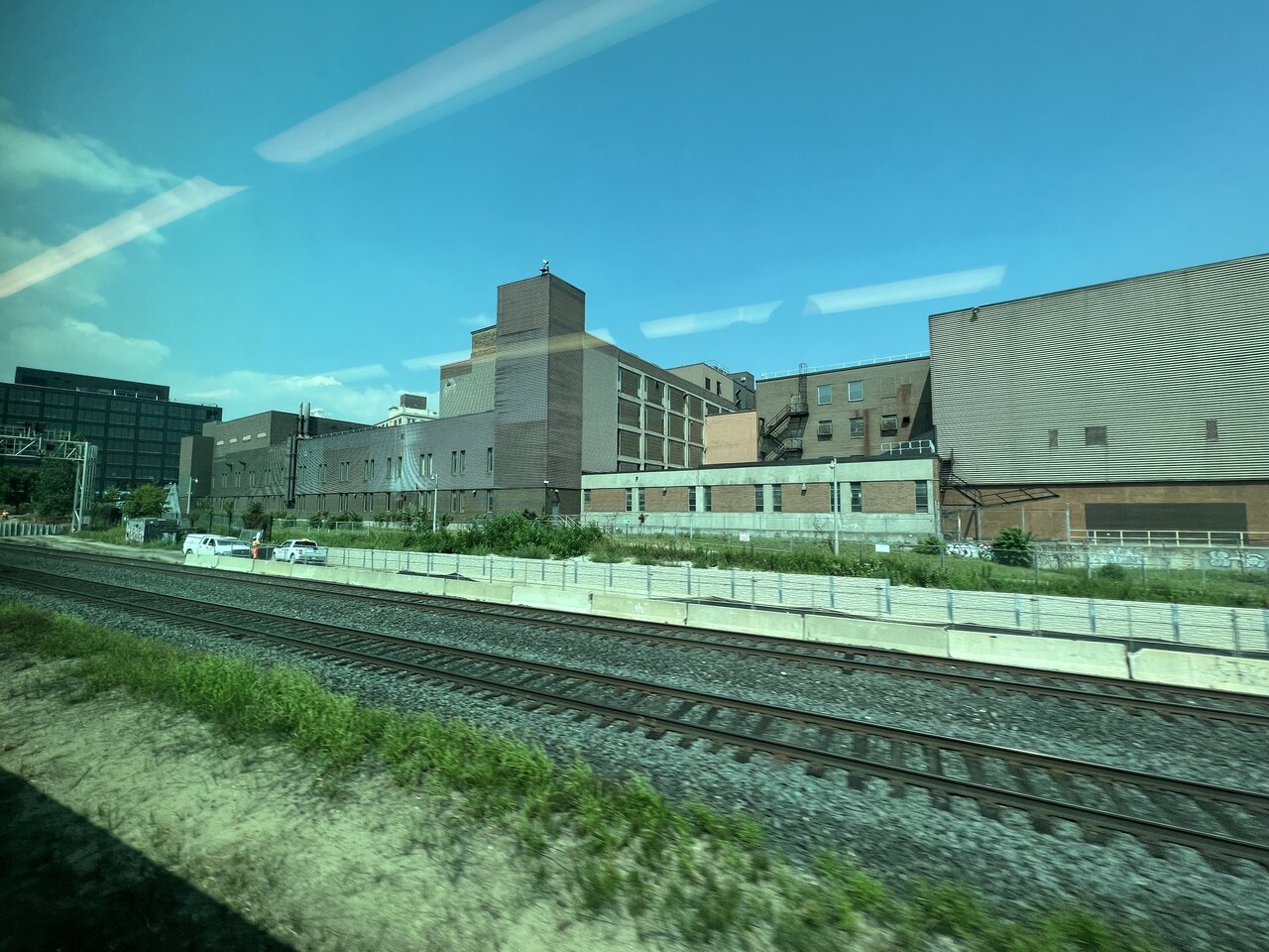 IMG_7201.jpeg