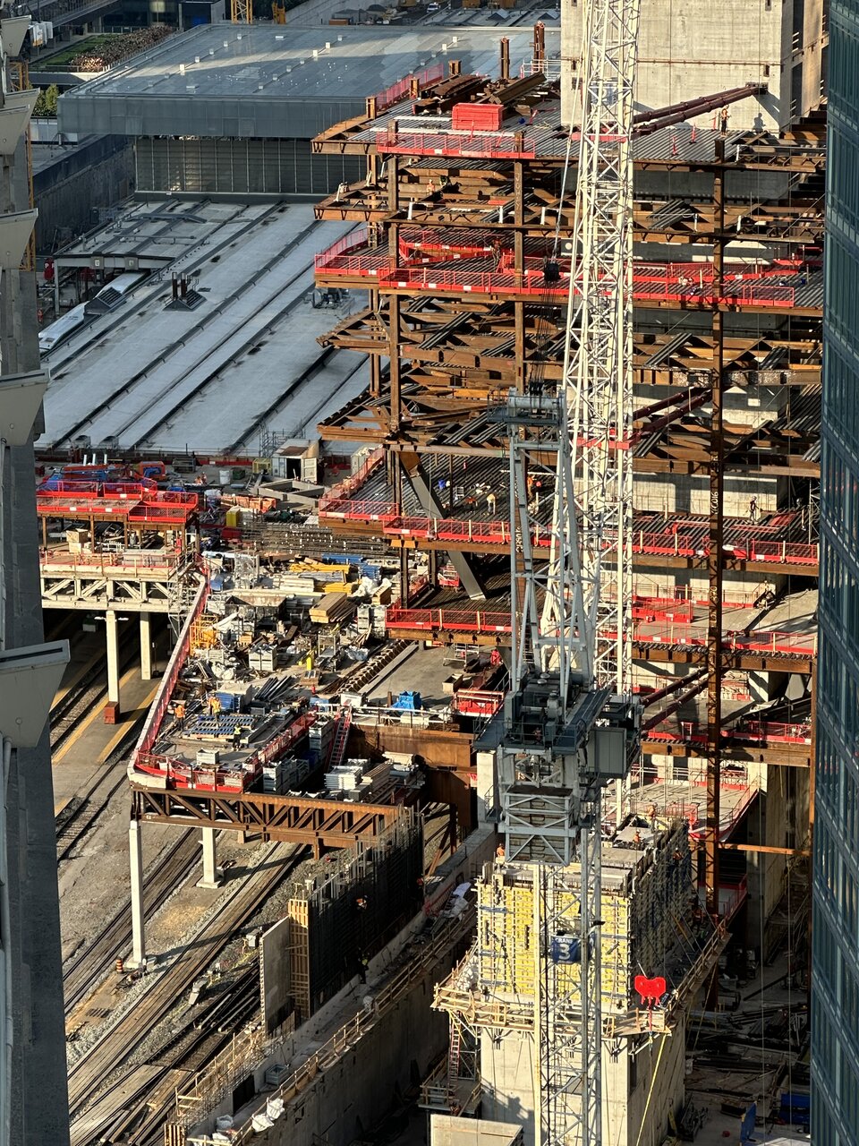 IMG_7243.jpeg
