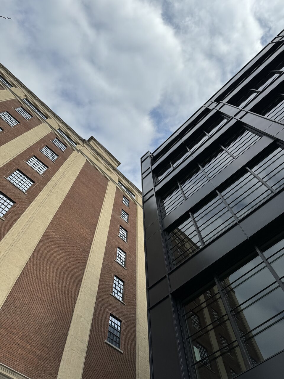 IMG_7302.jpeg