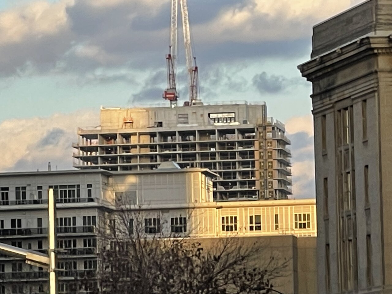 IMG_7329.jpeg