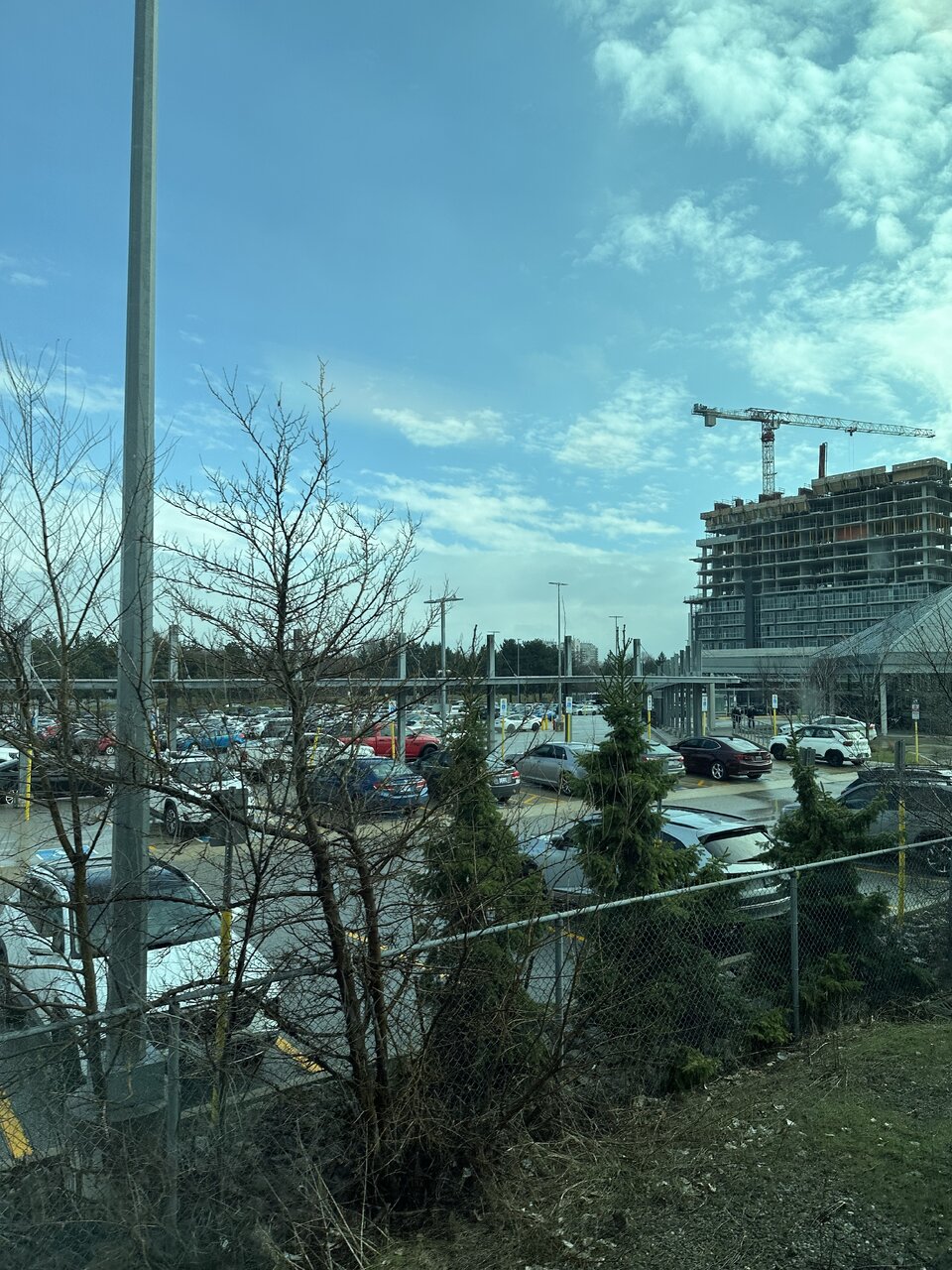 IMG_7333.jpeg