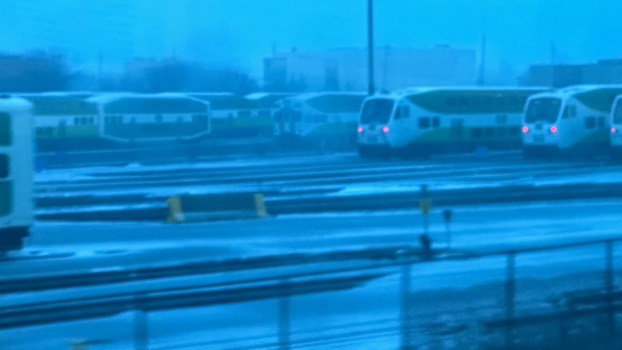 IMG_7345.jpeg