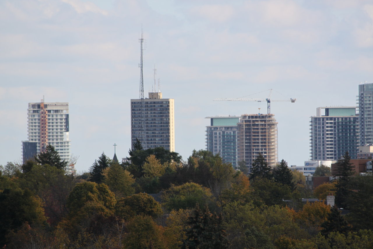IMG_7383.JPG
