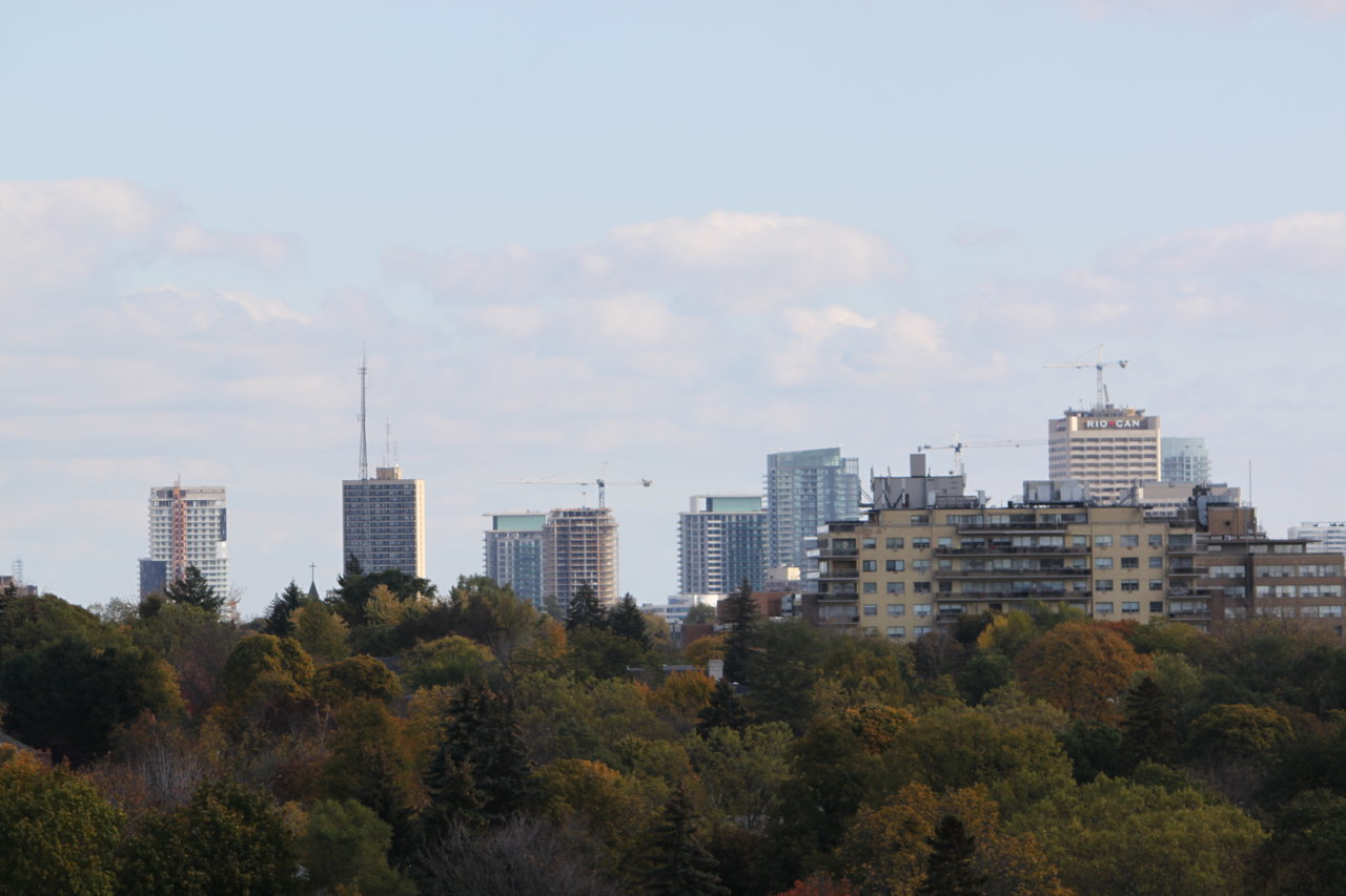 IMG_7384.JPG