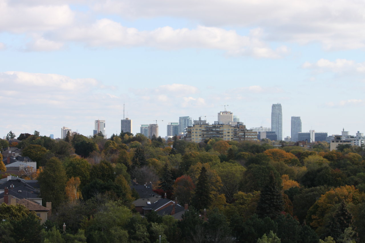 IMG_7385.JPG
