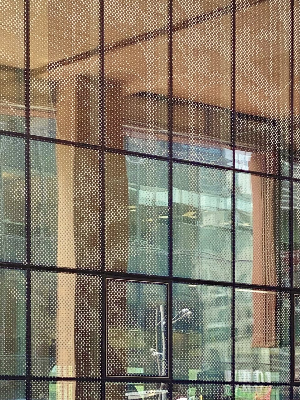 IMG_7536.jpeg