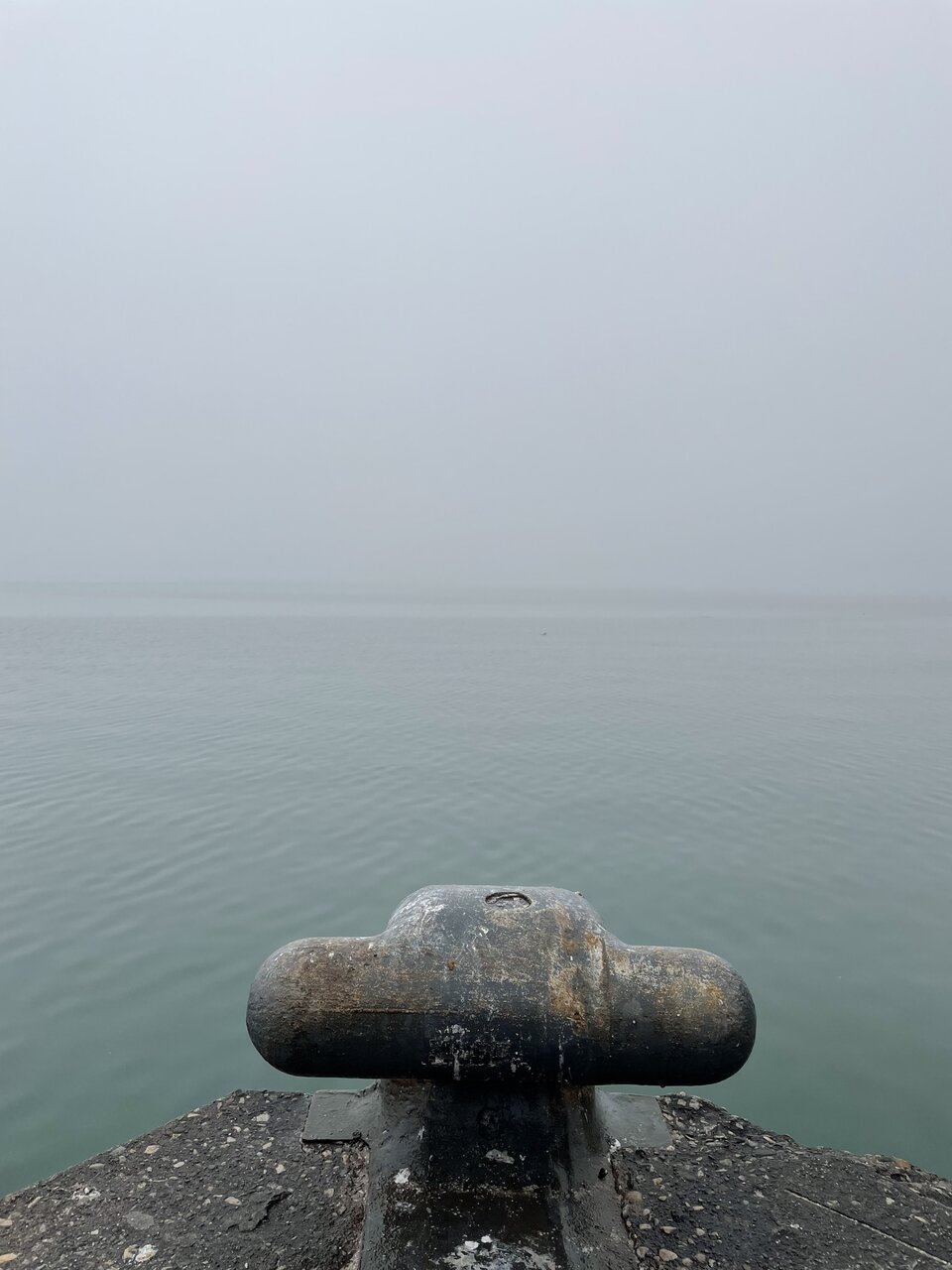 IMG_7611.jpeg