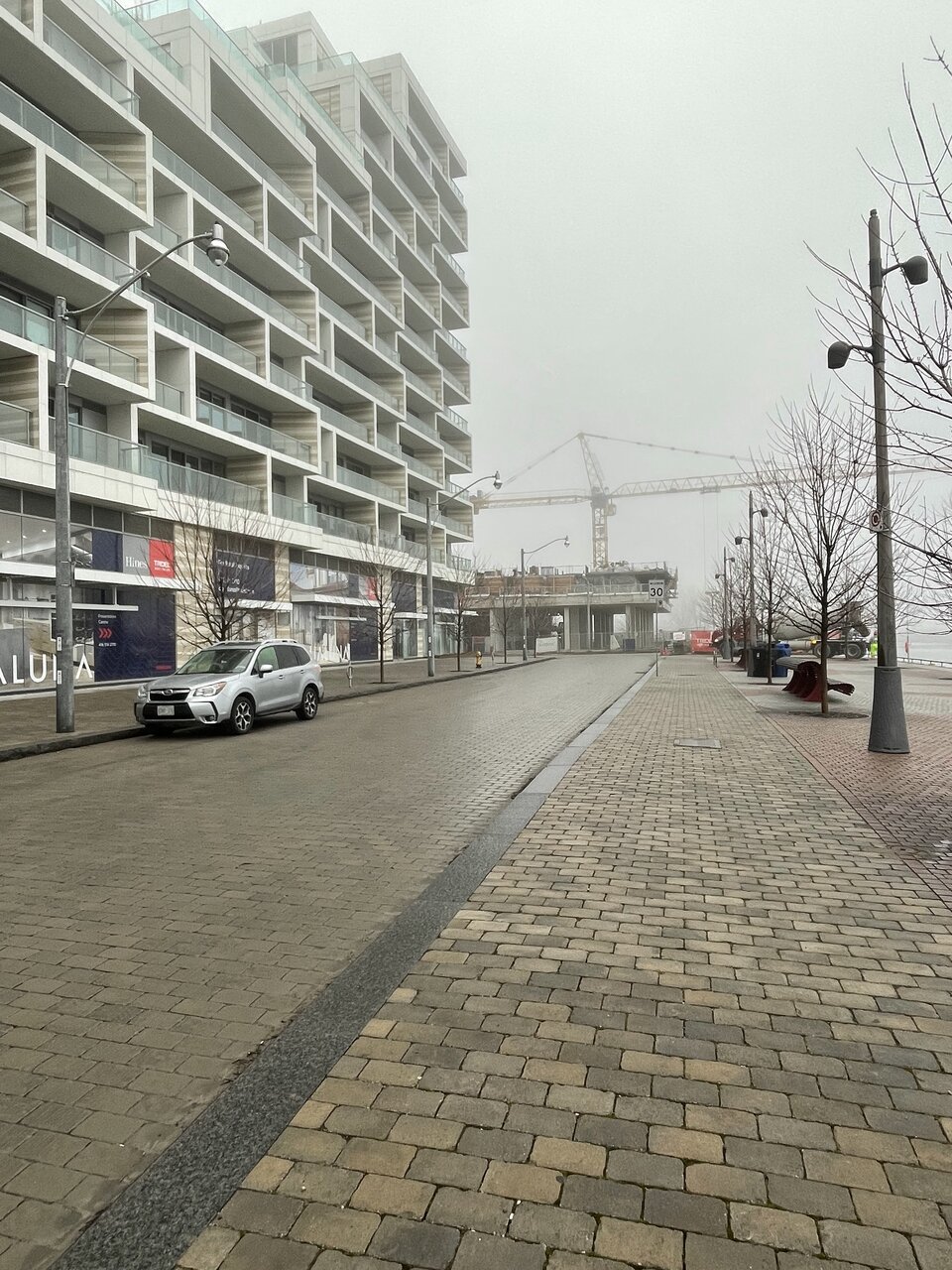 IMG_7650.jpeg