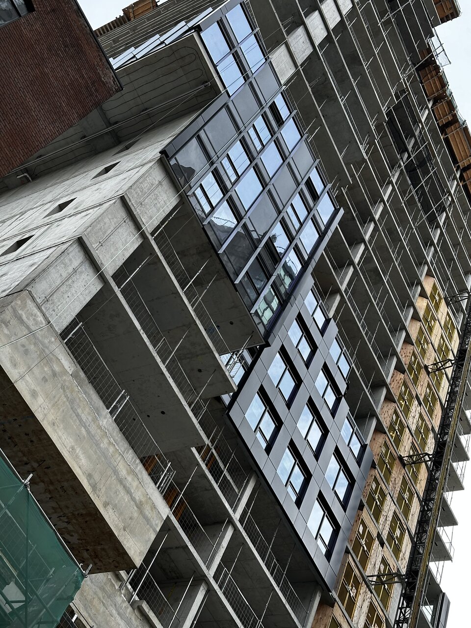 IMG_7669.jpeg