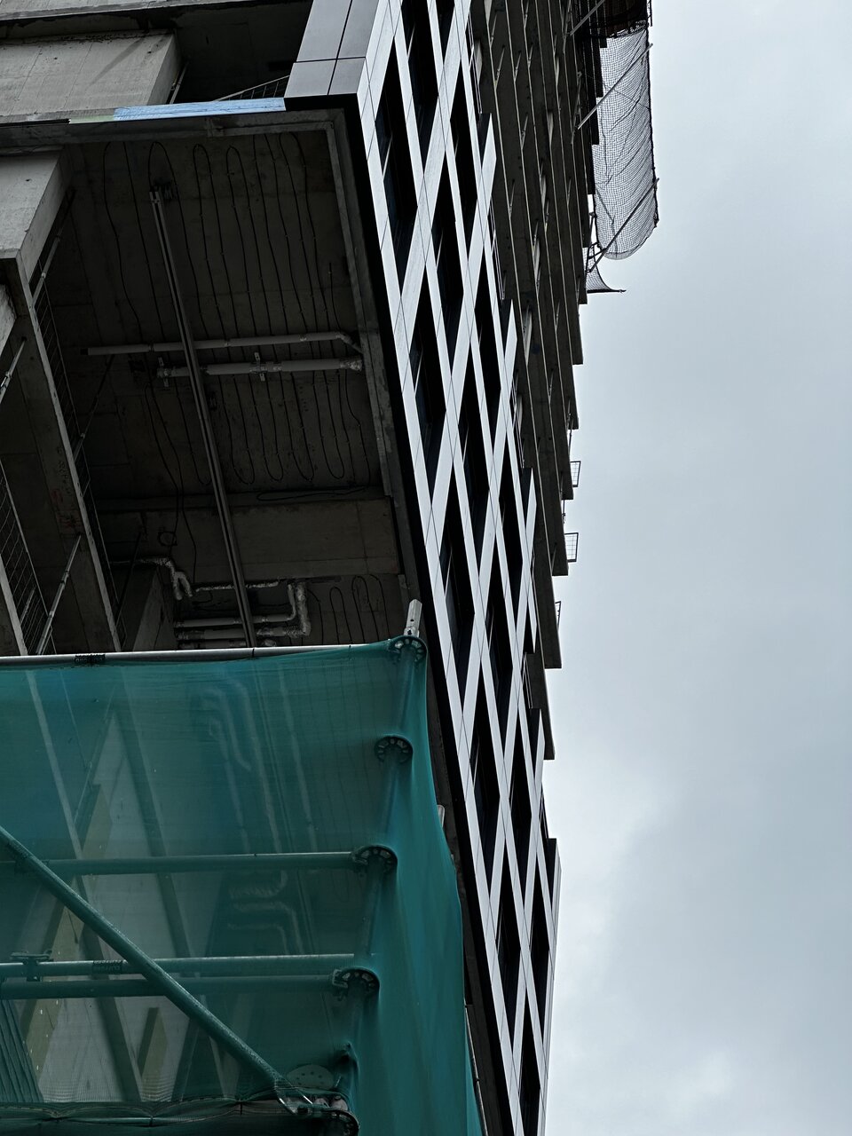 IMG_7688.jpeg