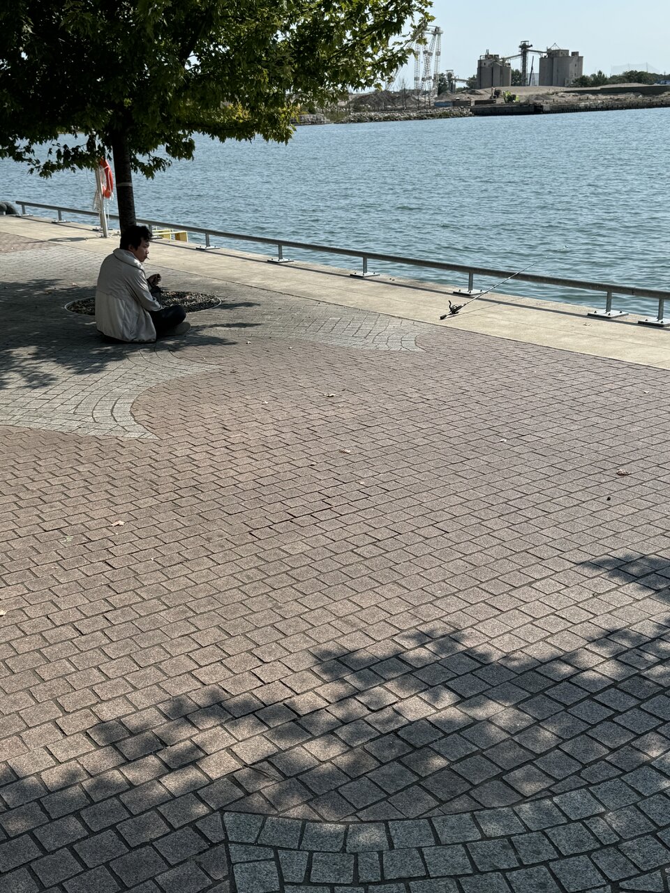 IMG_7928.jpeg