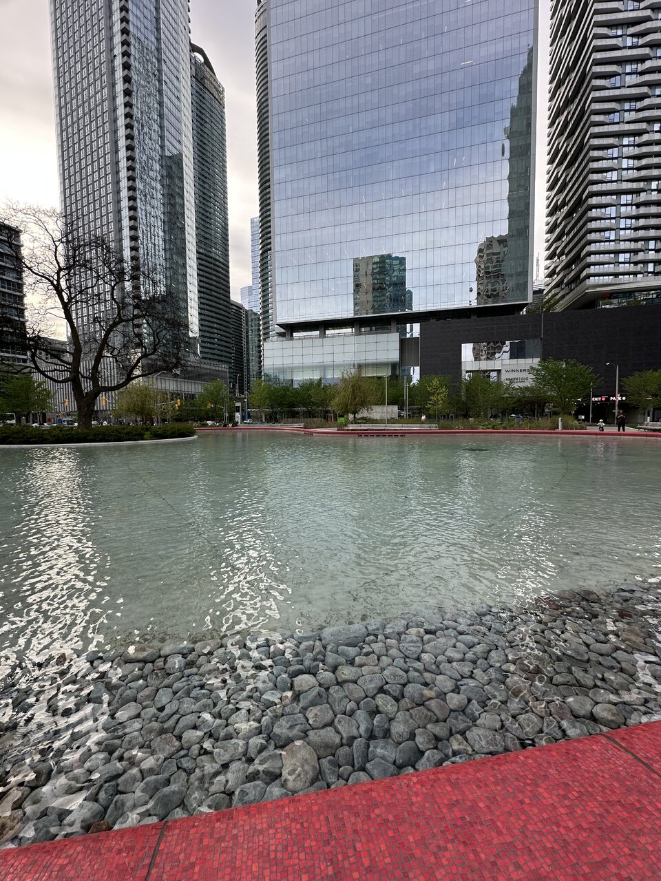 IMG_7958.jpeg