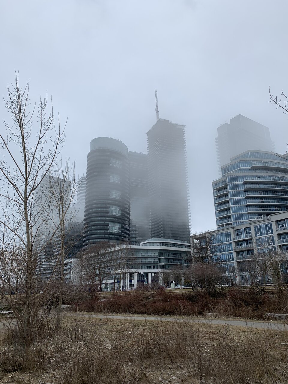IMG_7987.jpeg