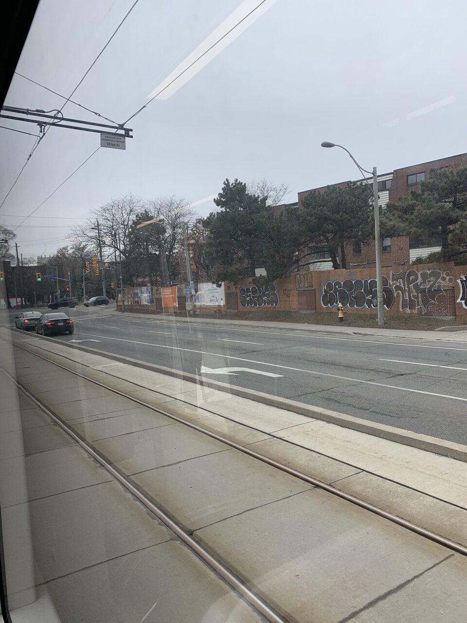IMG_8003.jpeg