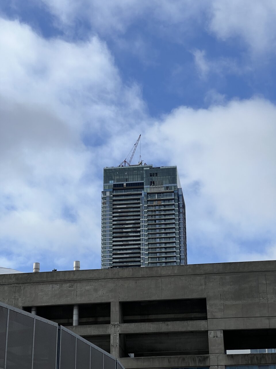 IMG_8131.jpeg