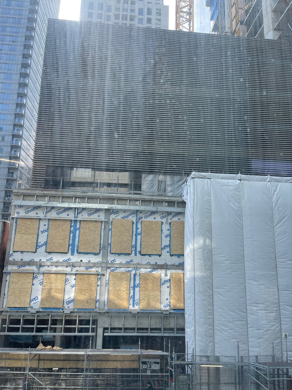 IMG_8207.jpeg