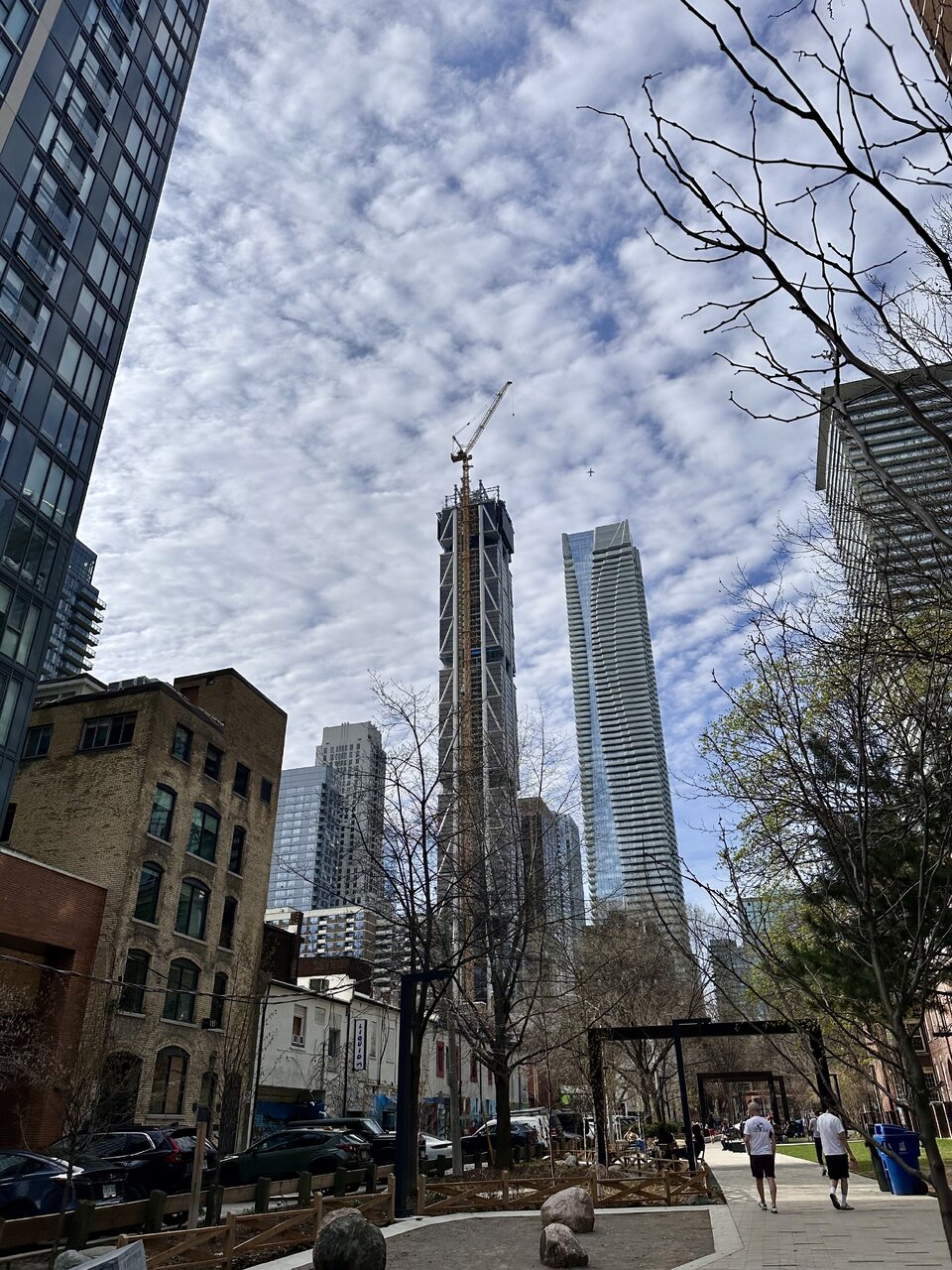 IMG_8213.jpeg