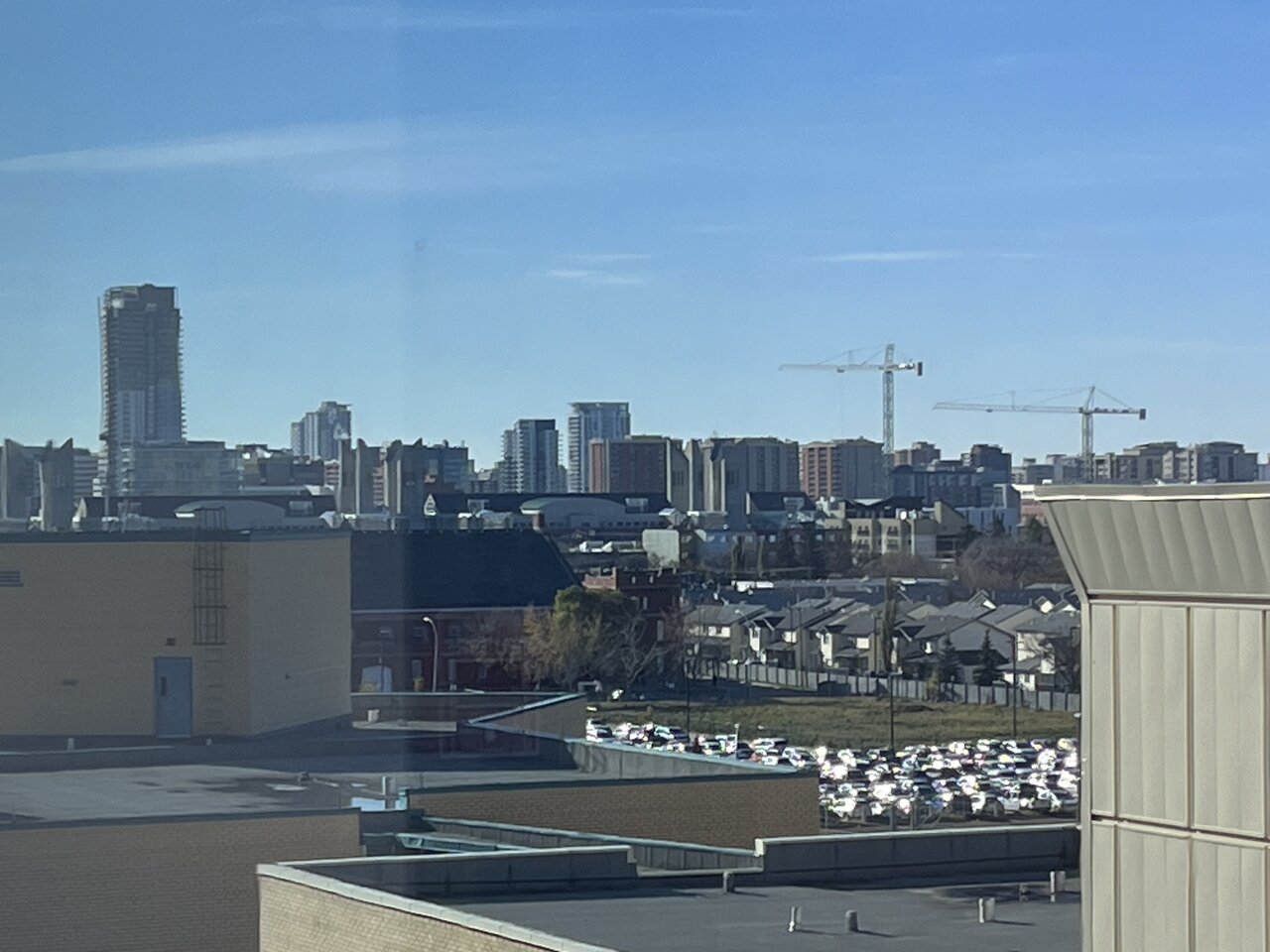IMG_8230.jpeg