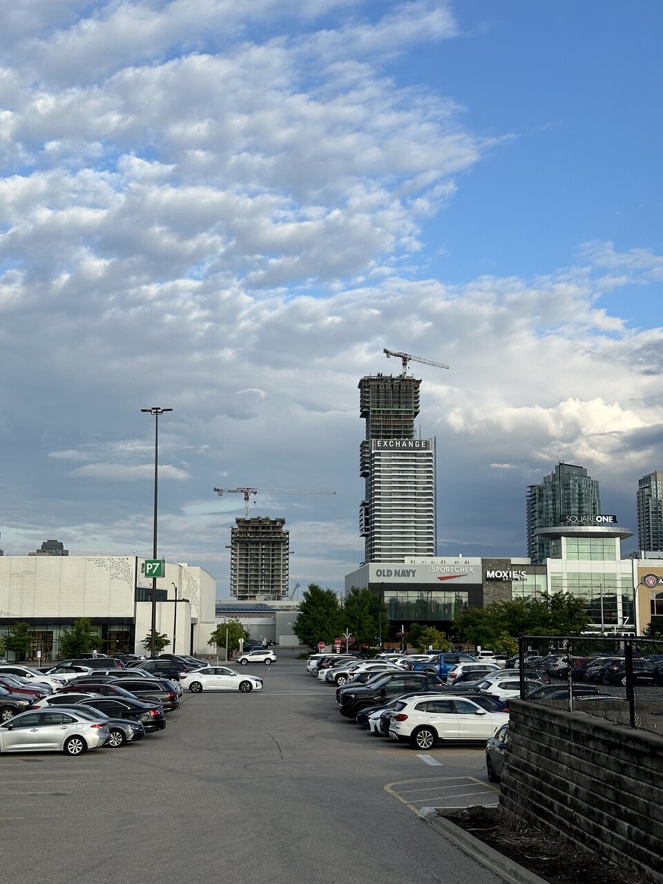IMG_8244.jpeg