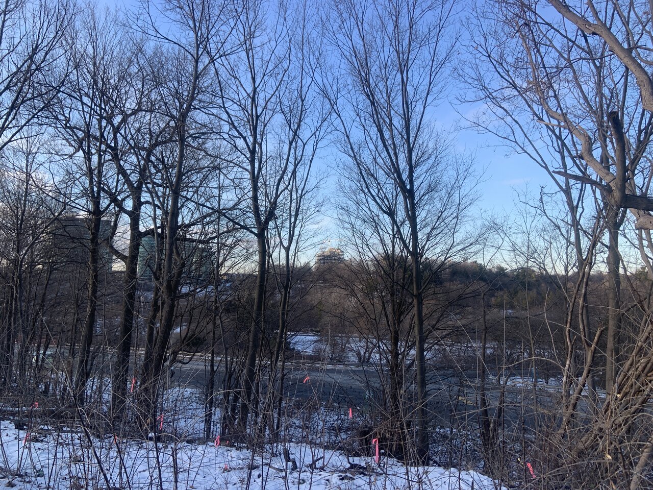 IMG_8267.JPG