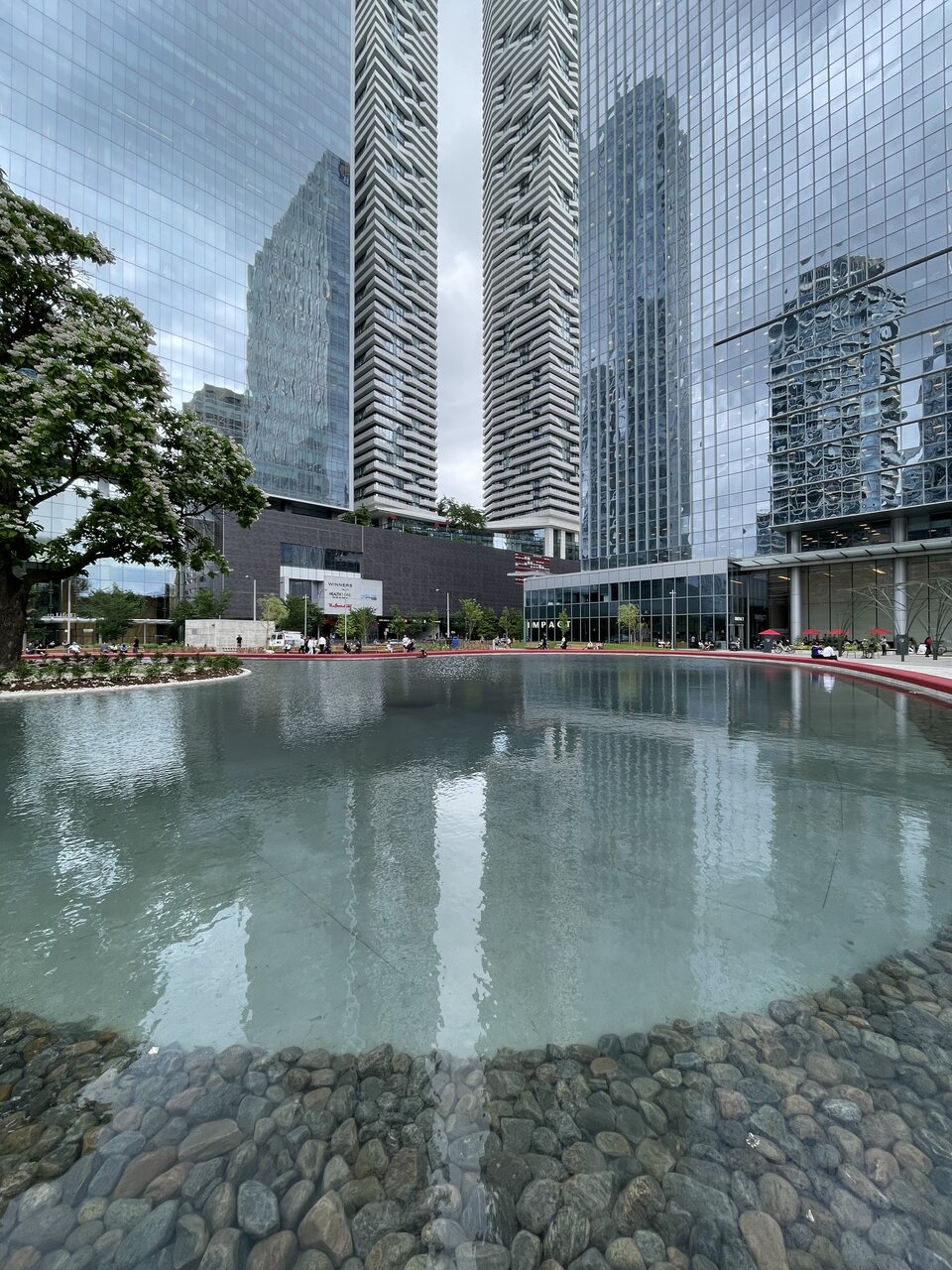 IMG_8334.jpeg