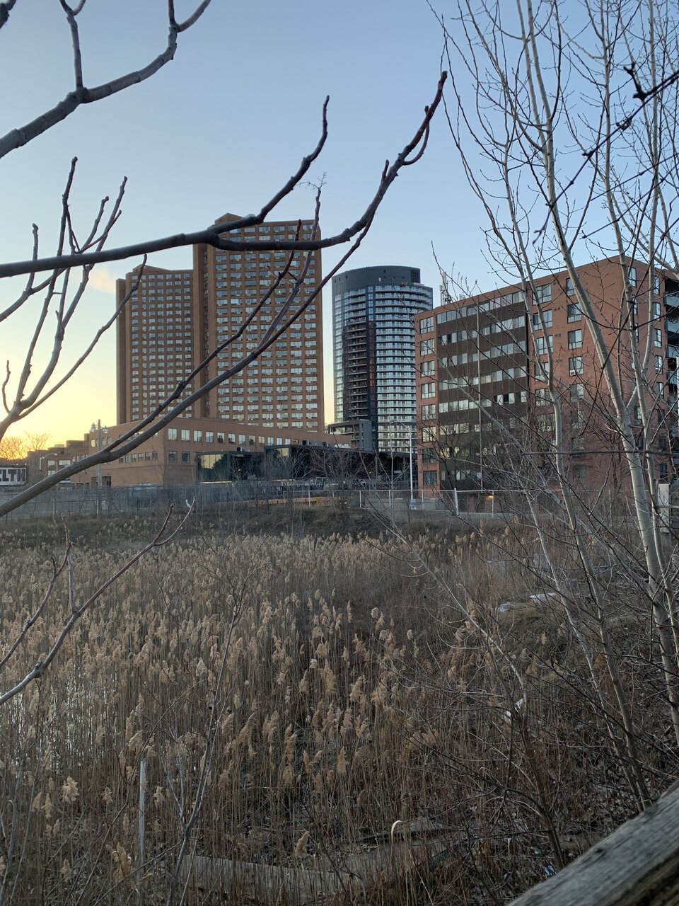 IMG_8377.jpeg