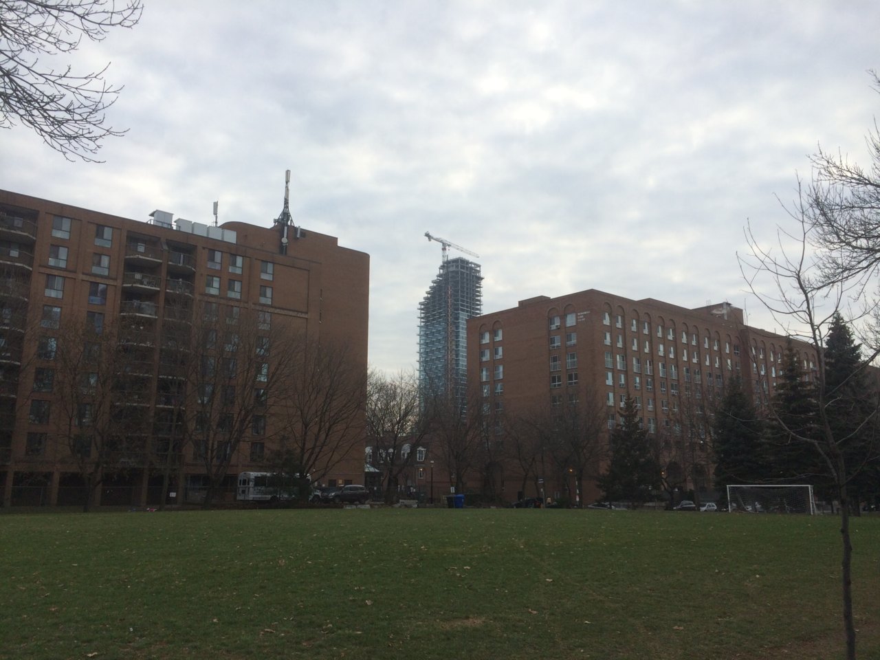 IMG_8511[1].JPG