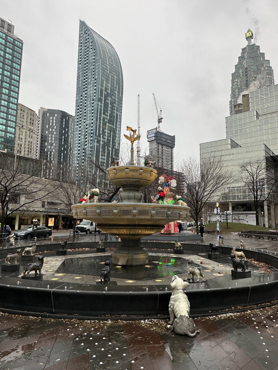 IMG_8604.jpeg
