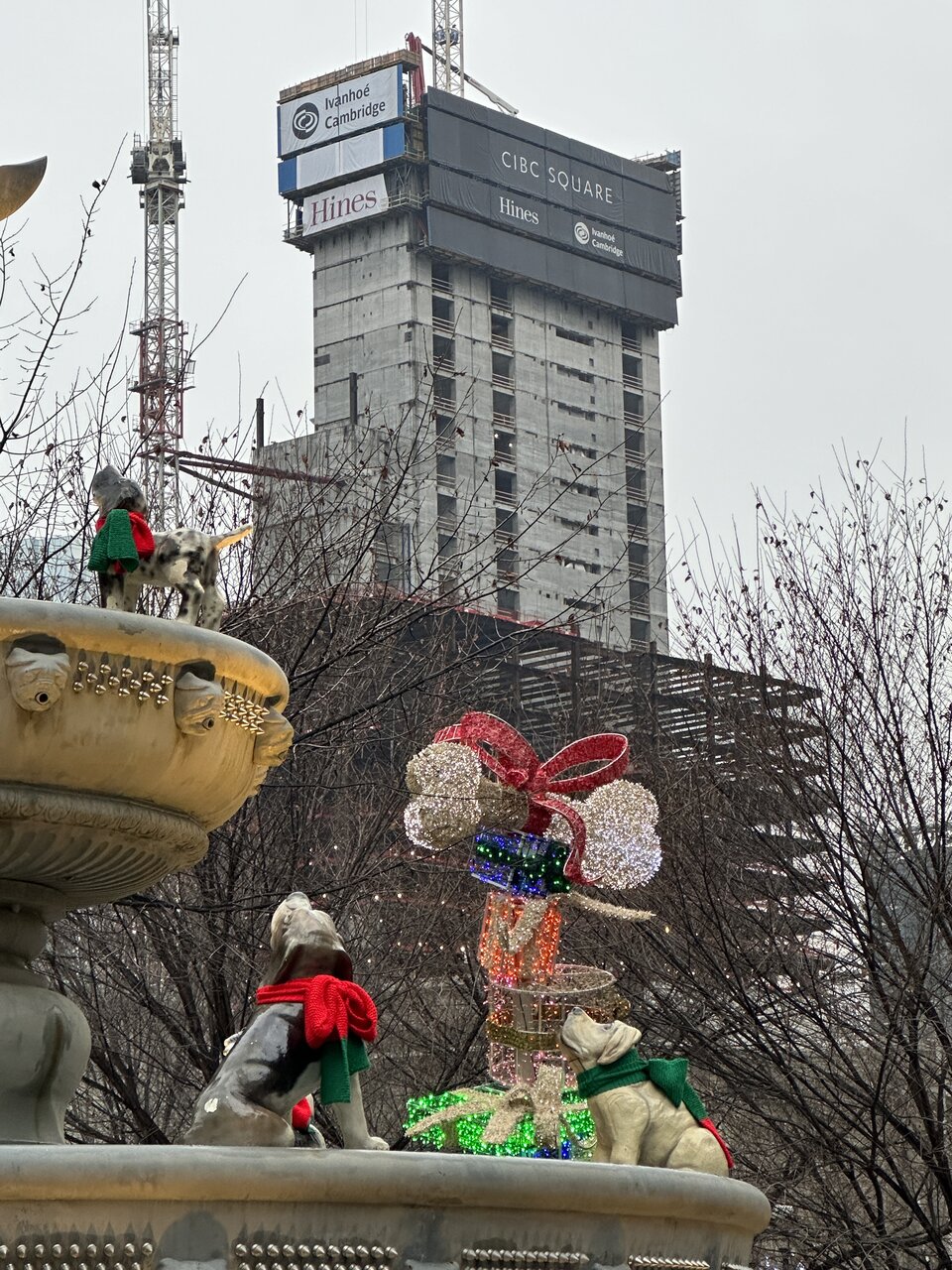IMG_8605.jpeg