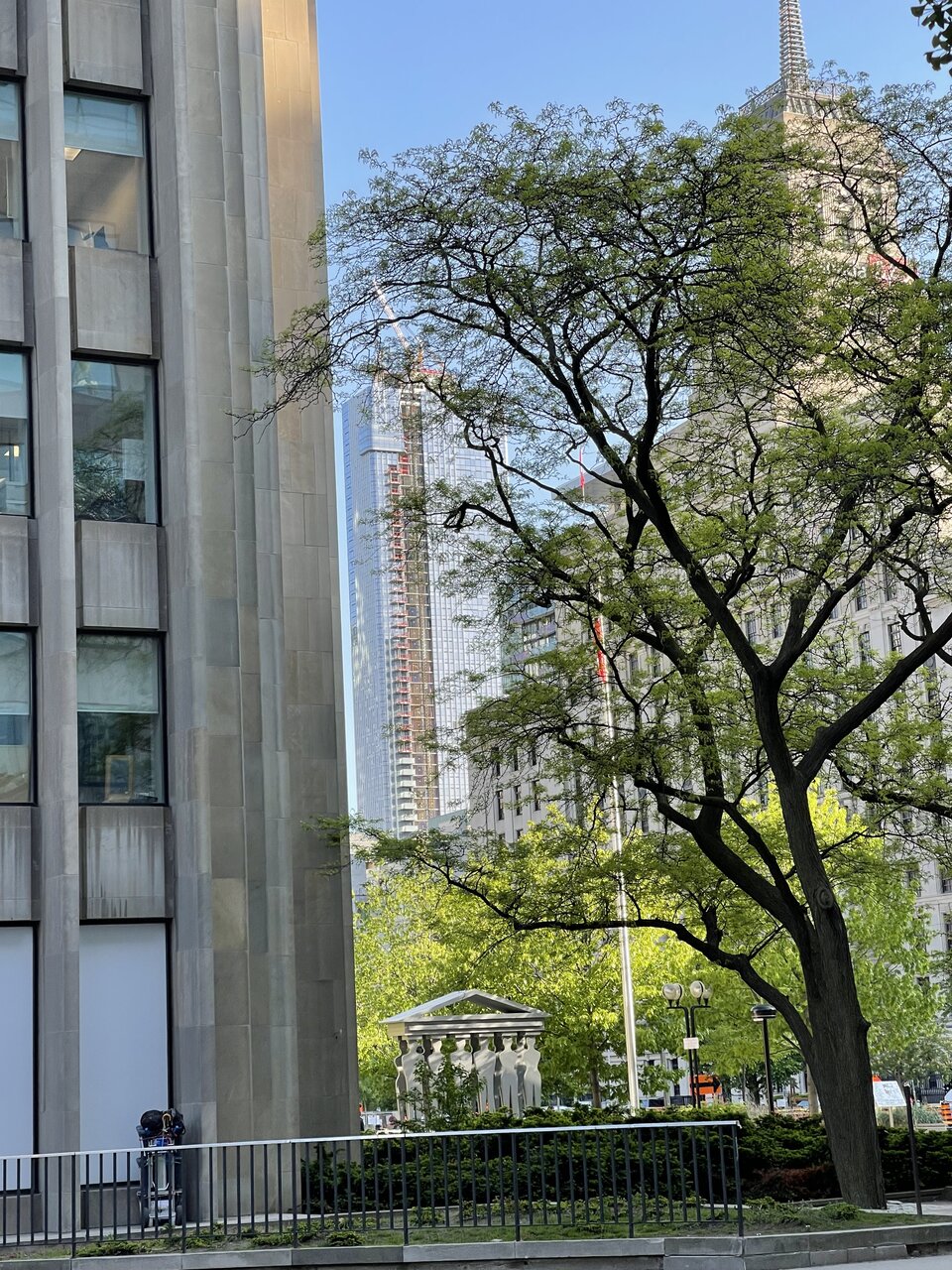 IMG_8672.jpeg
