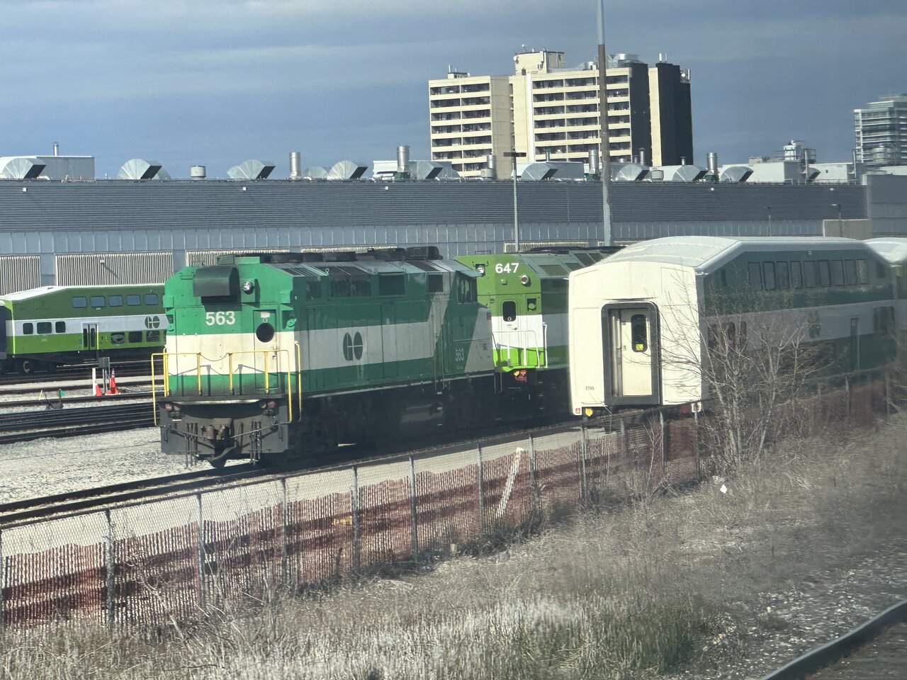 IMG_8812.jpeg