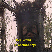 IMG_8823.gif