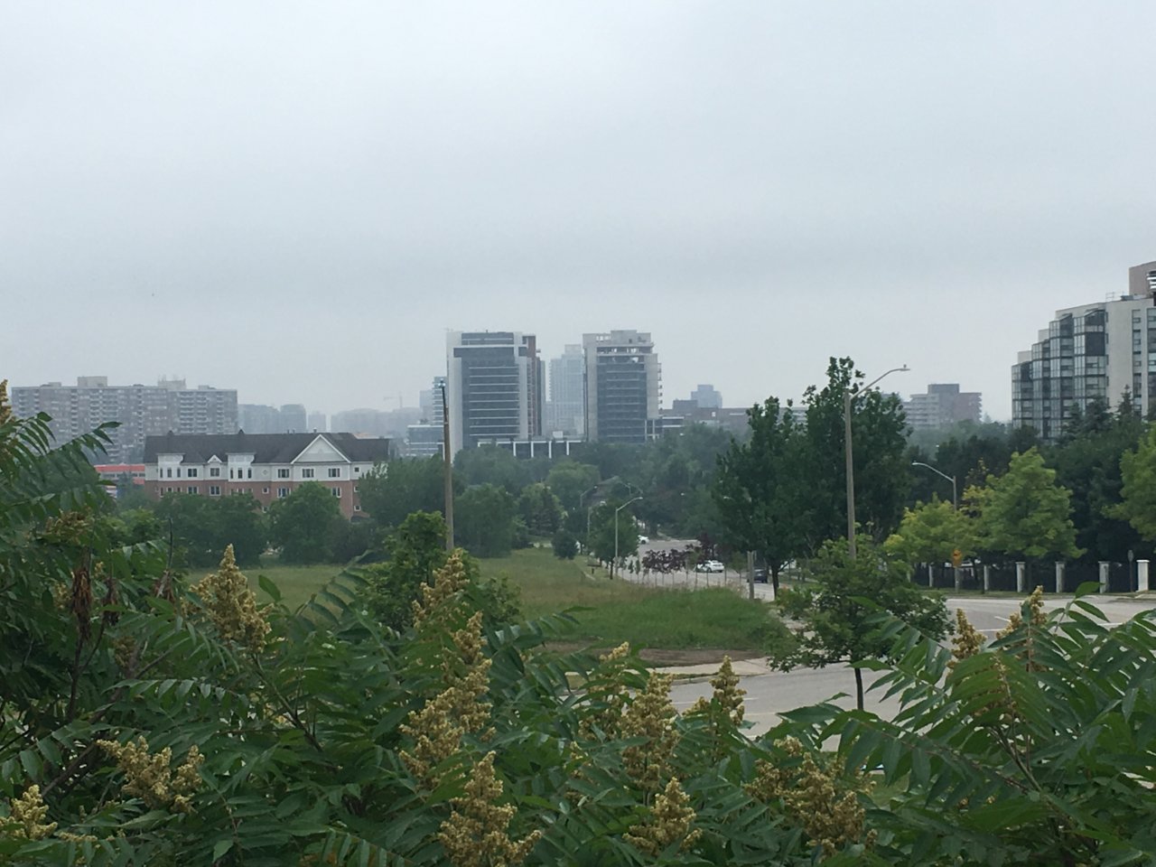 IMG_8955.JPG