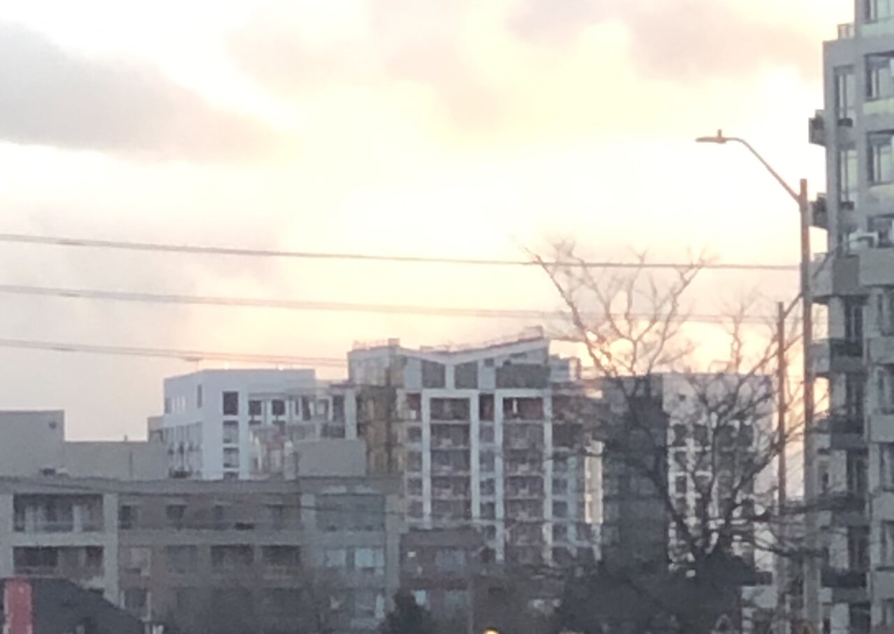 IMG_9139.jpeg