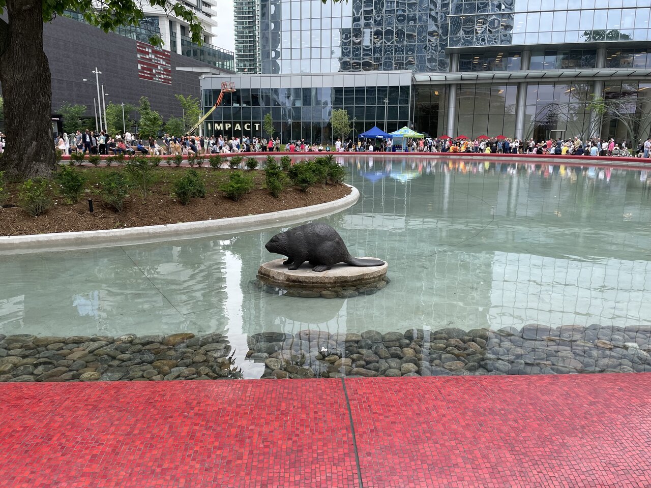 IMG_9290.jpeg