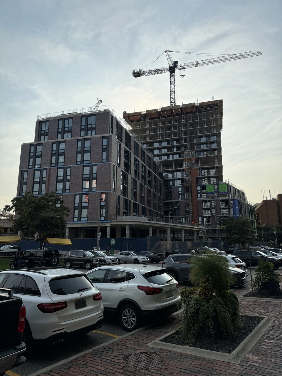 IMG_9607.jpeg IMG_9607.jpeg