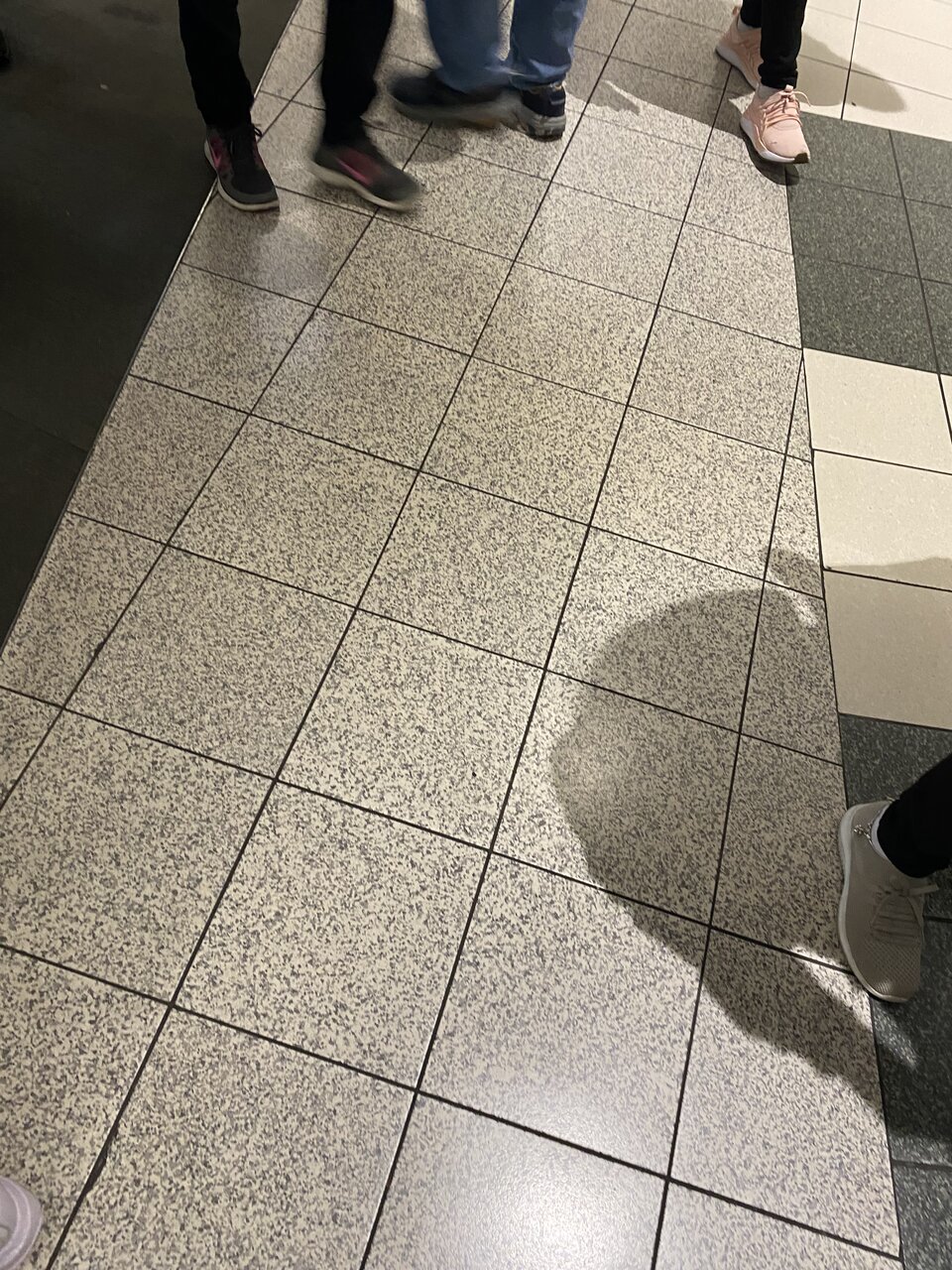 IMG_9660.jpeg