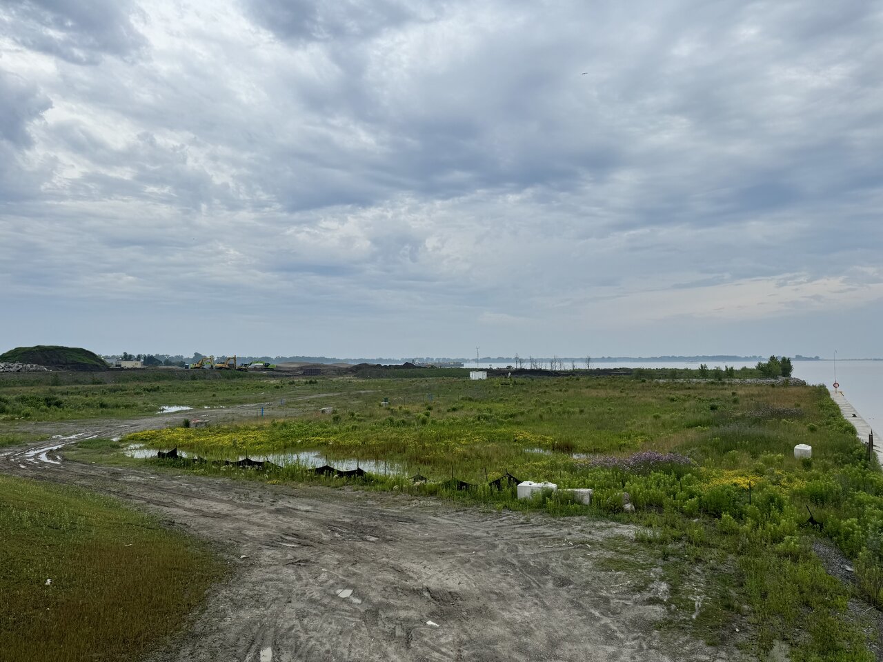 IMG_9850.jpeg