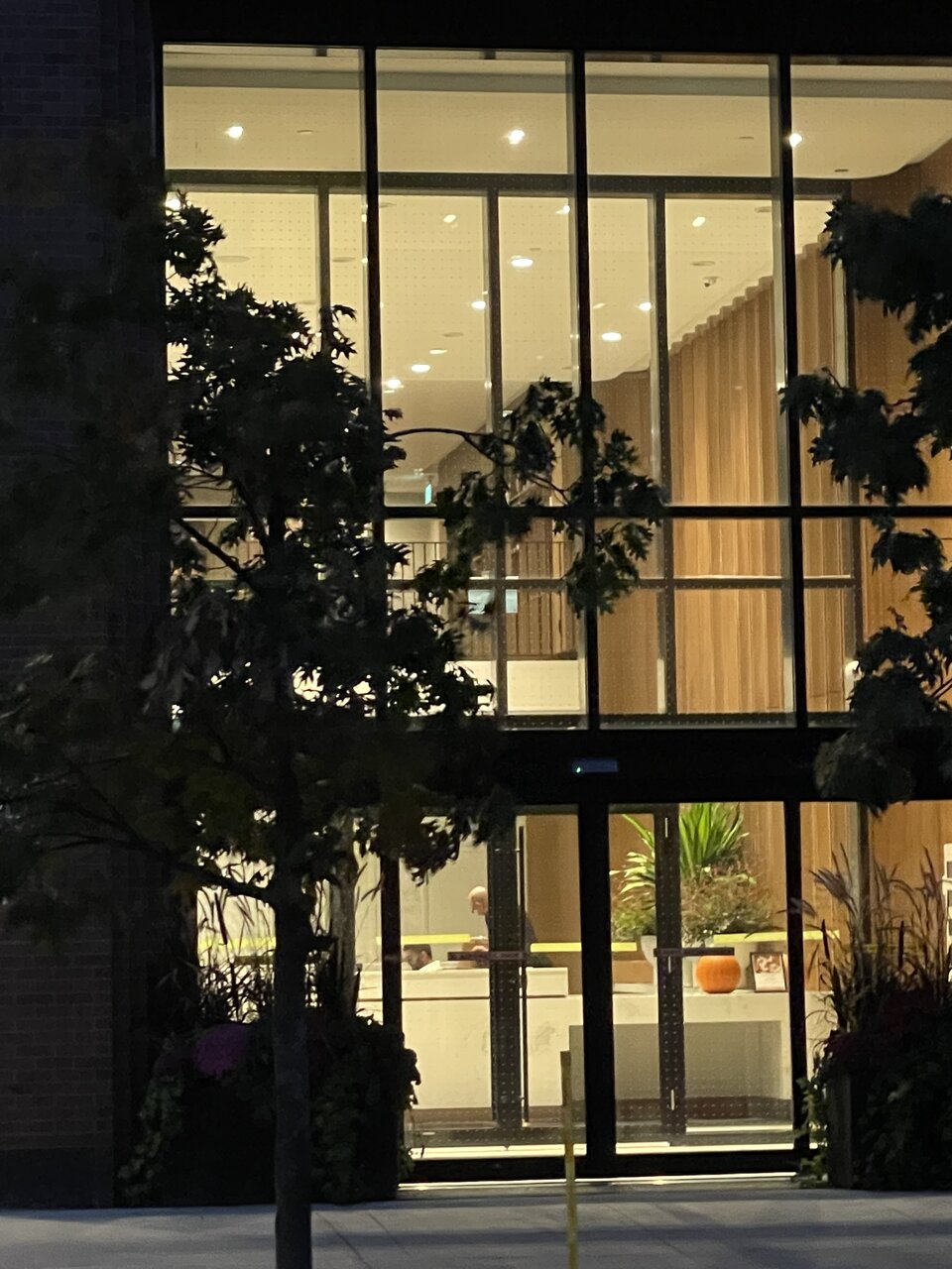 IMG_9904.jpeg