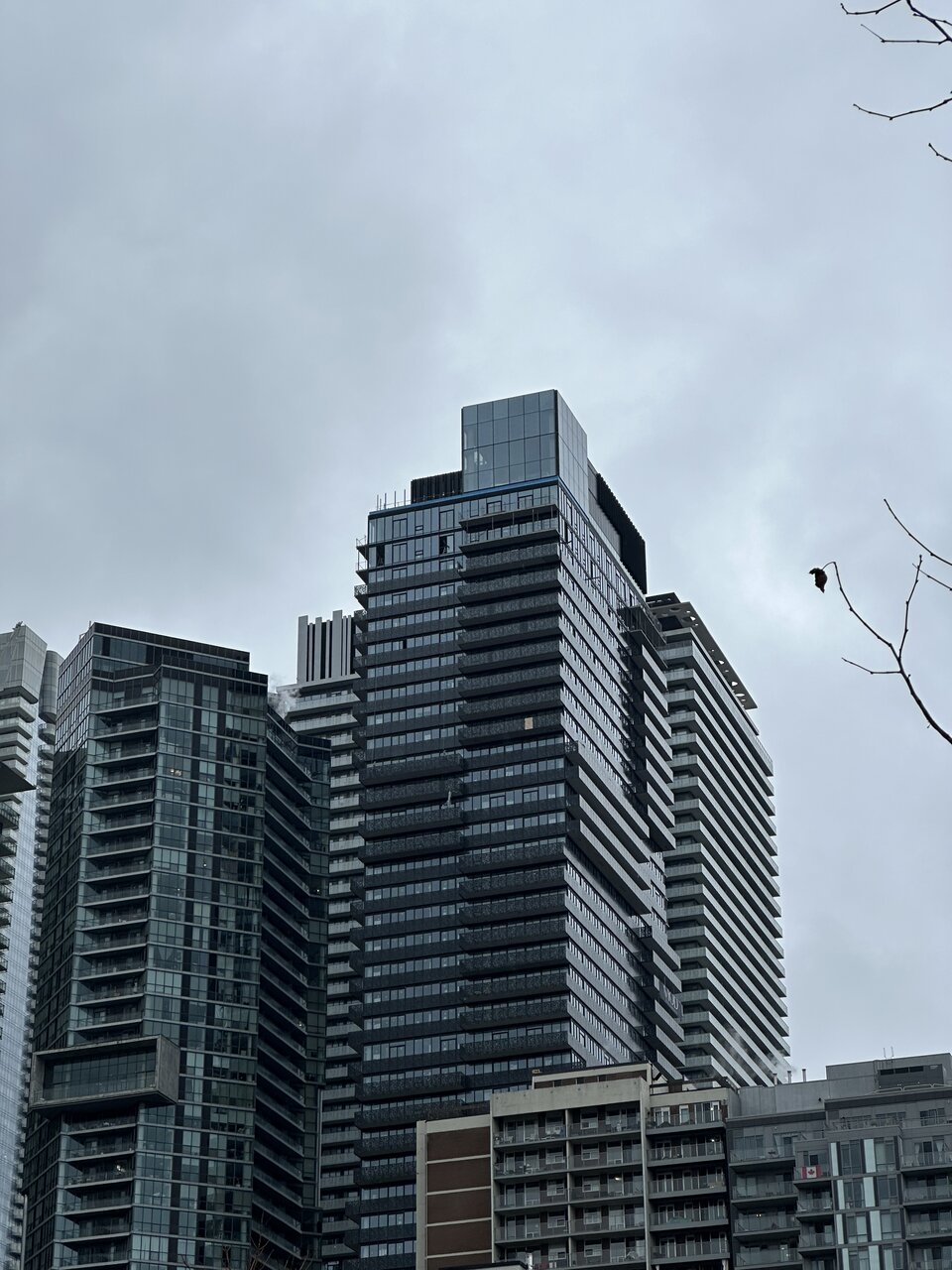IMG_9980.jpeg
