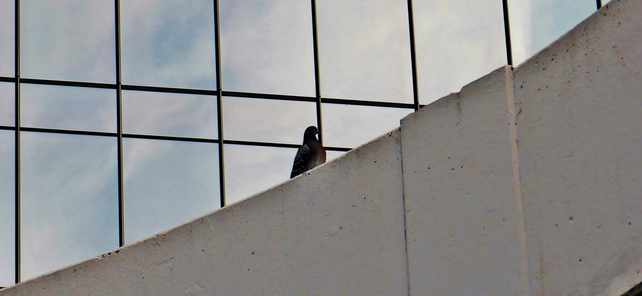 James McDonald Lookout, 101st Street Parkade 2019-11-02 141.JPG