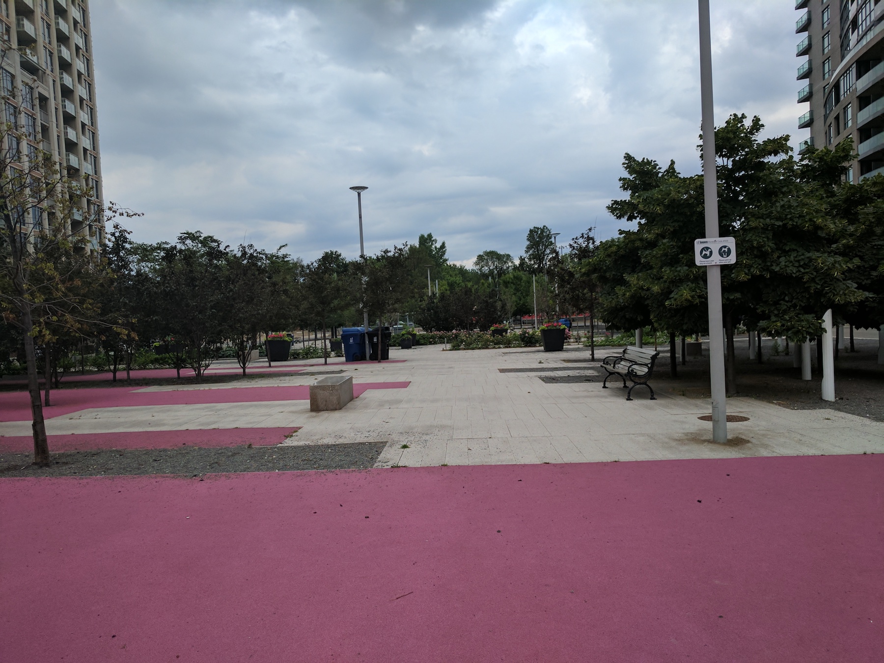JC Park - 2.jpg