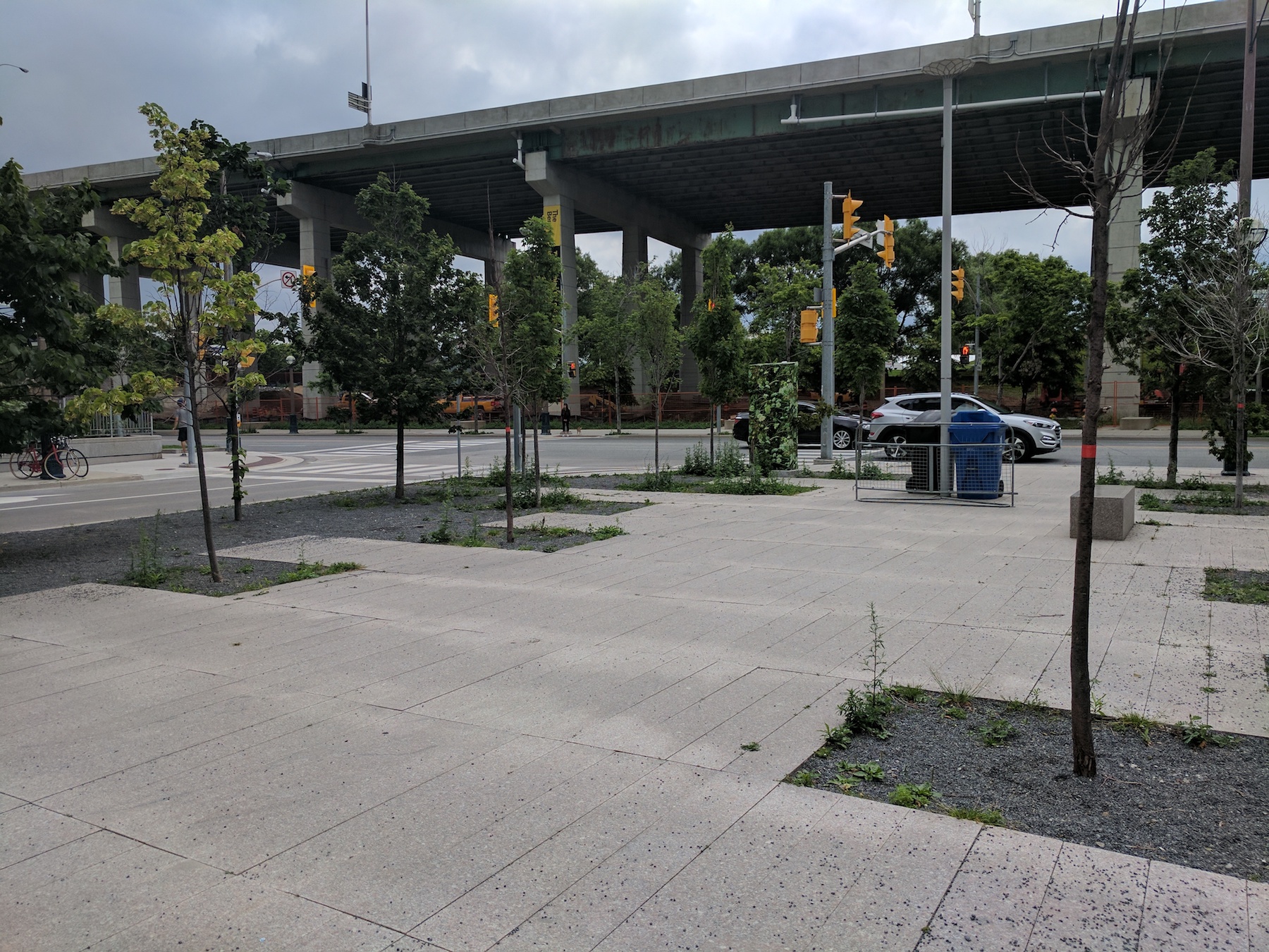 JC Park - 3.jpg