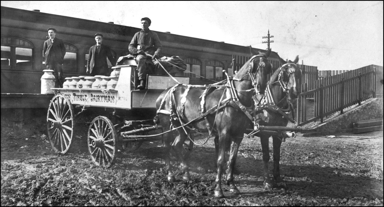 John Tingle's dairy was at 314 Gerrard St. E.   1910   TPL.jpg