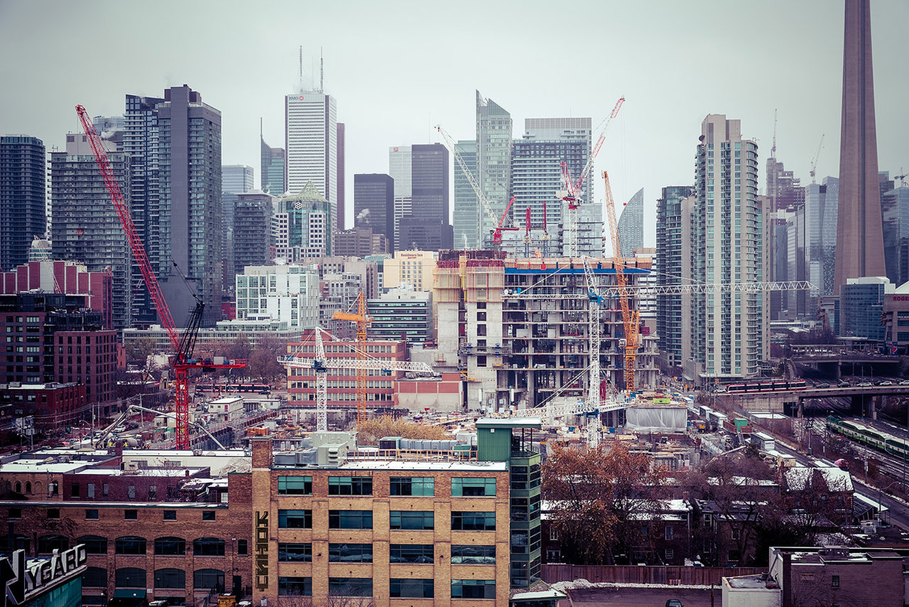 KOT_5340.jpg